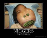 niggers.jpg