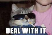 deal with it.jpg