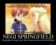 negi_springfield.jpg