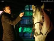 doctor_horse.jpg