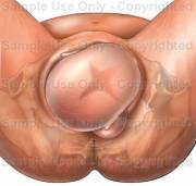 childbirth.jpg