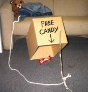 confessionbox.jpg