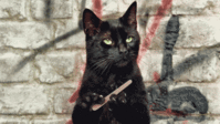 1330754294794881.gif 1330754294794881.gif
