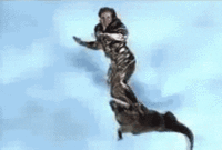 d3a0af0c7dd41487e53d69db6a338e0a.gif
