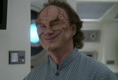 phlox.jpg