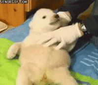 1332557009639.gif