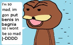 benis.png benis.png