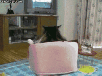 1332607036463.gif