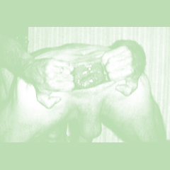 greenbg.png