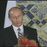 66PxA.gif