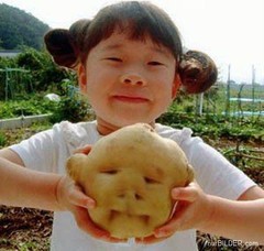Potato-Head_500x500.jpg