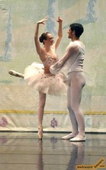 bonersballet.jpg