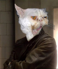 doc21.jpg