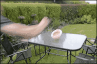 doc.gif