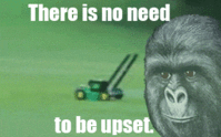133832735229.gif
