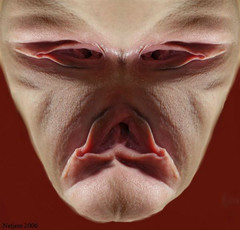 fuck face.jpg
