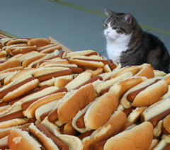 hotdogs.png