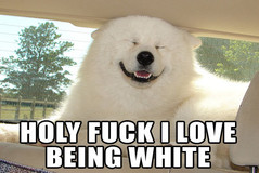 being white.jpg
