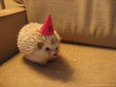 birthday.jpg birthday.jpg
