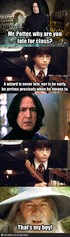 harry potter gandalf.jpg