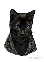 DoctorCat9.jpg DoctorCat9.jpg