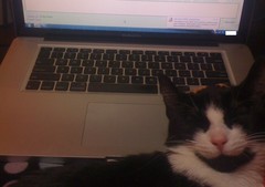 photo (10).JPG photo (10).JPG
