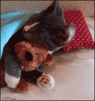 0492574940.gif