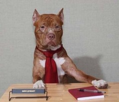 like-a-boss-24.jpg