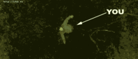 15545ue3.gif