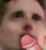 Leonidascock.jpg