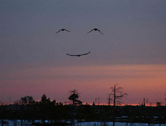 right-moment-007.jpg