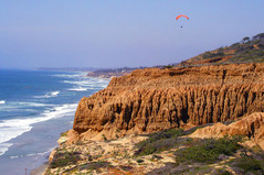 Torrey Pines looking North.jpg