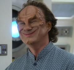 Phlox.jpg