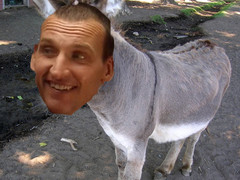 docass.jpg