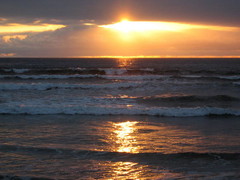 3-13-2005 6-50-31 PM_0013.JPG