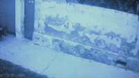 1361603645565396.gif