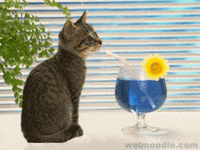 ShowLetter3.gif