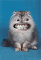 ShowLetter4.gif
