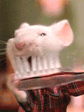 ShowLetter9.gif