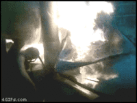 1323522237420.gif