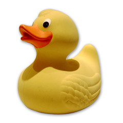 rubberDuck[1].jpeg