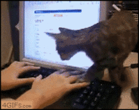 1361855898785.gif