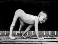 01192674234.gif