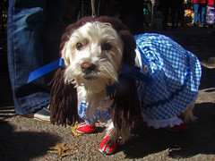 4045699184_41ff7999e3_z.jpg 4045699184_41ff7999e3_z.jpg