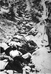nanking.jpg