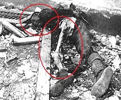 Japanese torture of Chinese.jpg