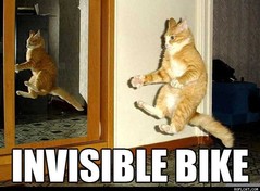 bike.jpg