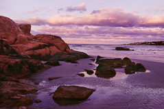 Cardiff but not great beach shot lavenders.jpg
