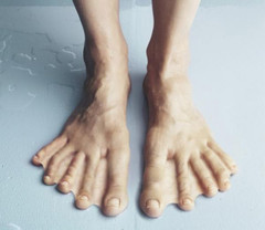 webbed-feet2.jpg