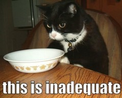 catinadequate.jpg